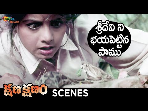 Snake Scares Sridevi | Kshana Kshanam Telugu Movie | Venkatesh | Sridevi | RGV | Shemaroo Telugu