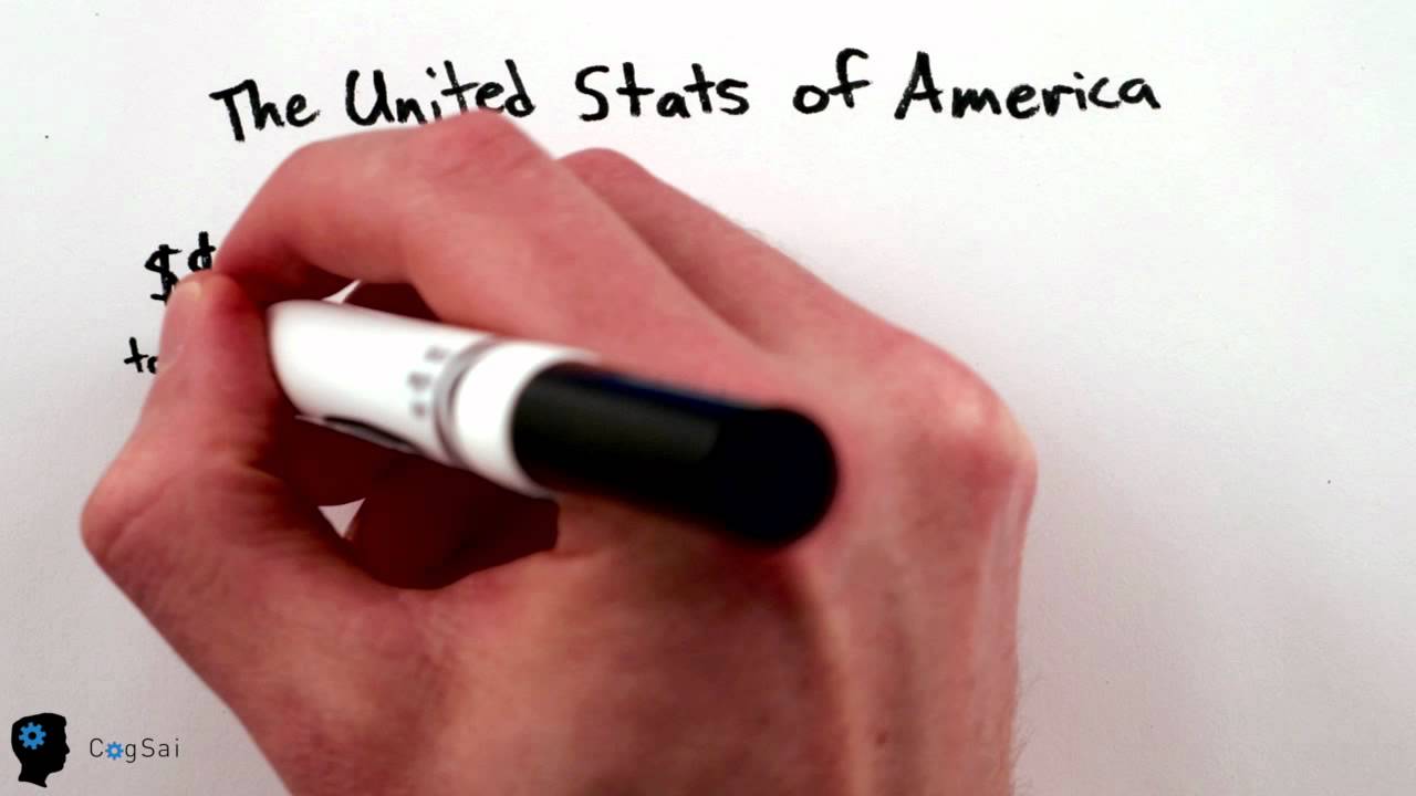 Sharks vs. Horses: Which Are Deadlier? 🦈