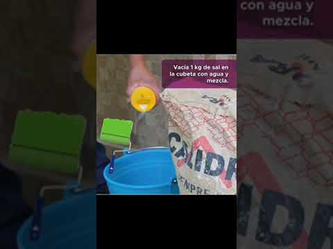 Guía para hacer pintura con cal 🖌️