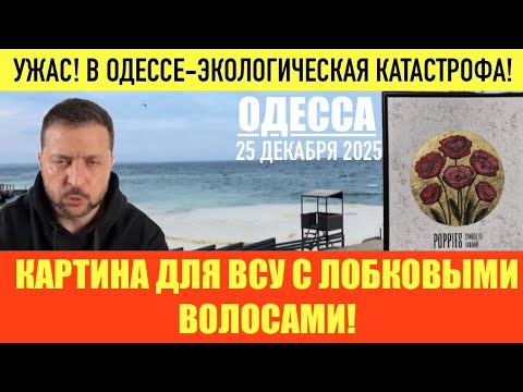Одесса 25.12.2025: Масло в море & мобилизация 🇺🇦