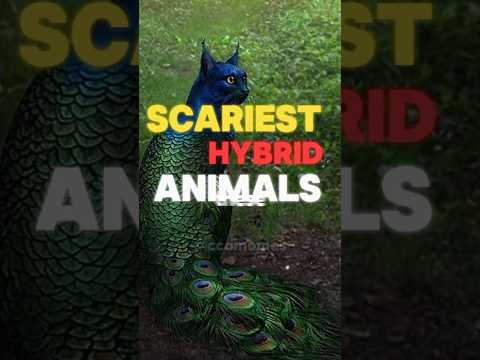 Scariest Hybrid Animals🌎