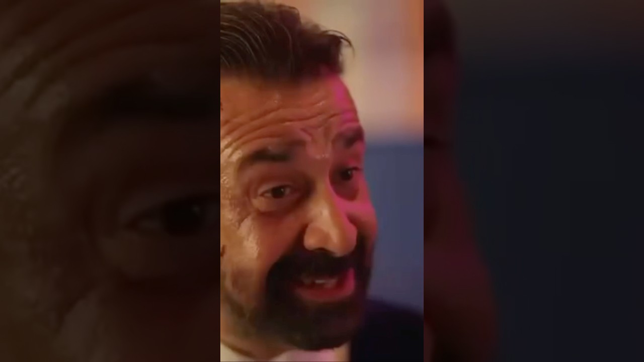 7 Dogs: A Heartwarming Tale 🐶