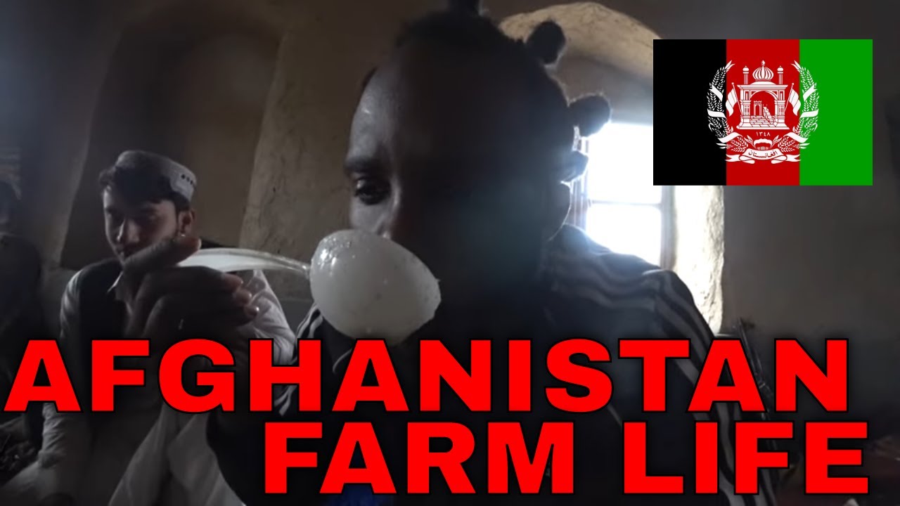 Living on a Farm in Afghanistan 🇦🇫