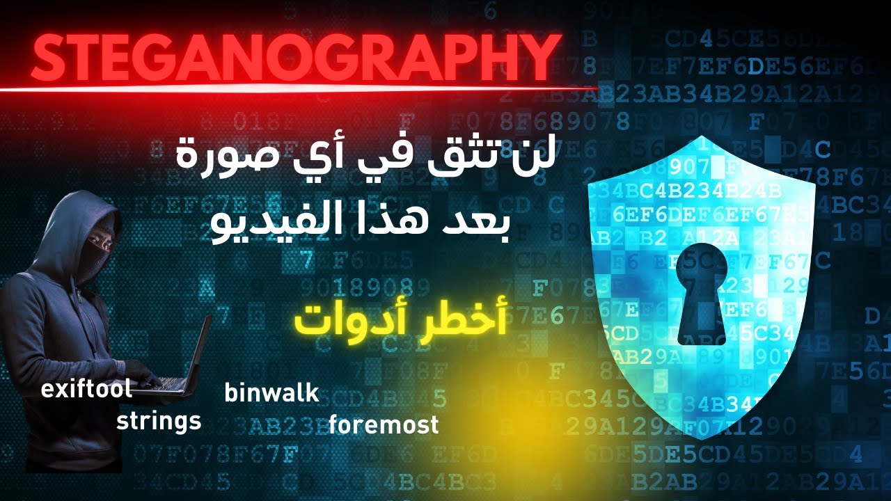 دليل شامل للمبتدئين في التستاغرافيا والأدلة الرقمية في الأمن السيبراني 🔒