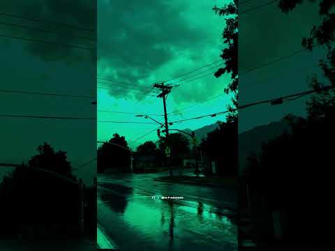 Ricky Rich, Dardan & DJ Gimi-O - Habibi | Lyrics | WhatsApp Status | Slowed | Aesthetic | #trending