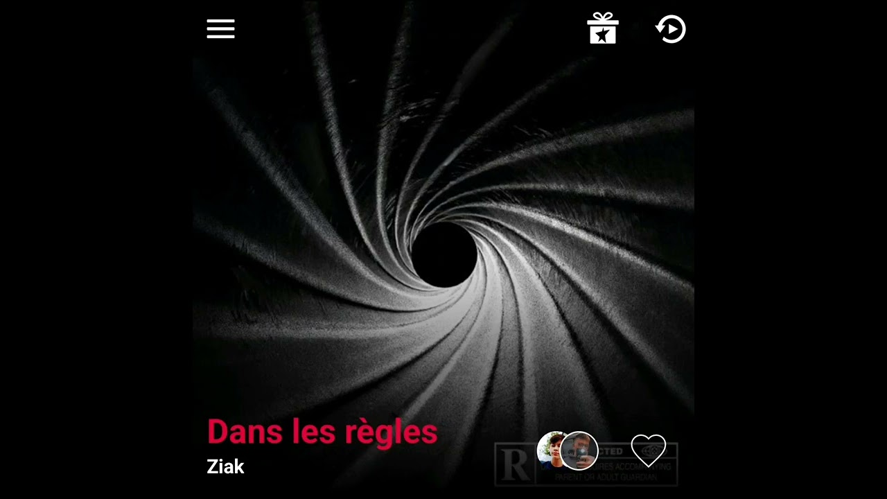 Ziak - Dans les règles (Remix Skyrock)