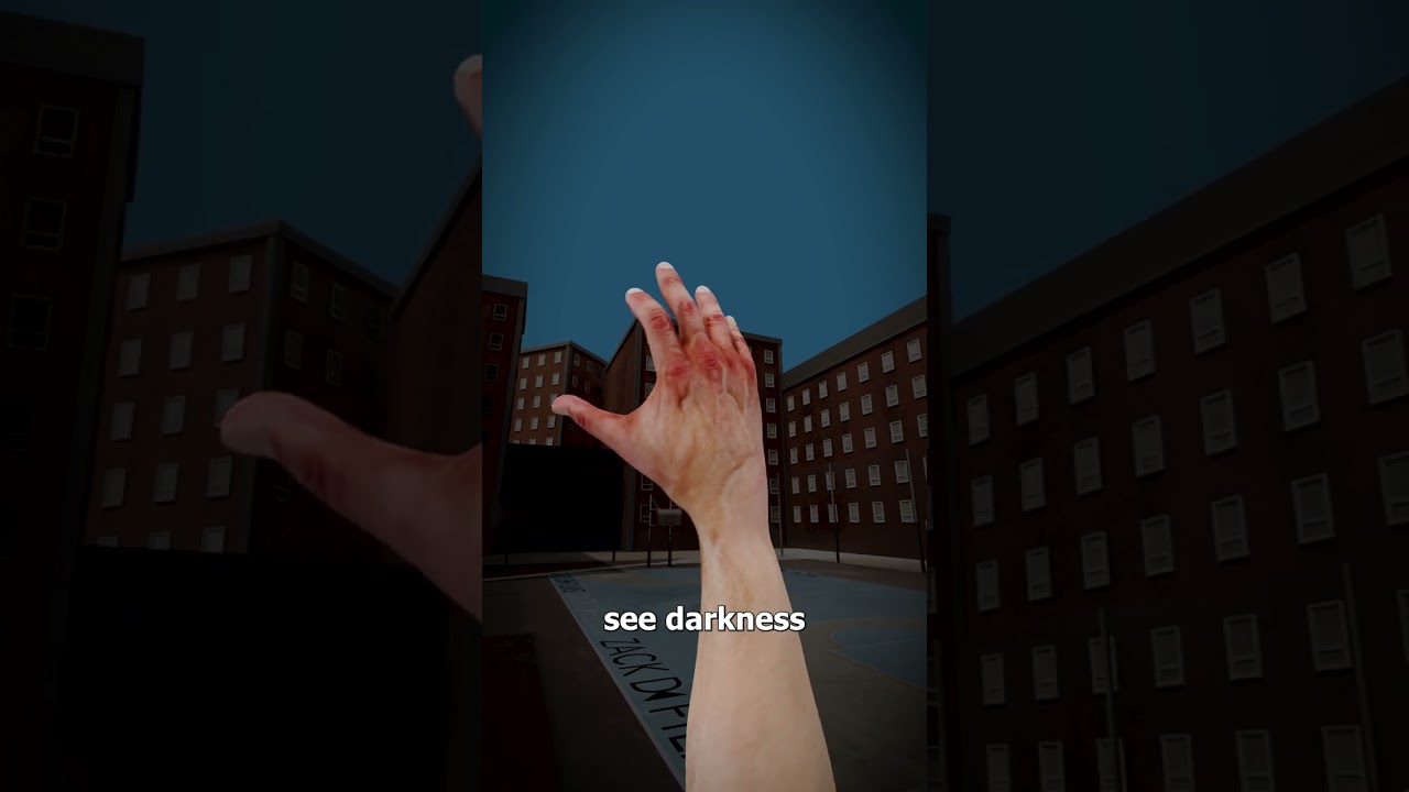 What Would You See Without Eyes? 🤔