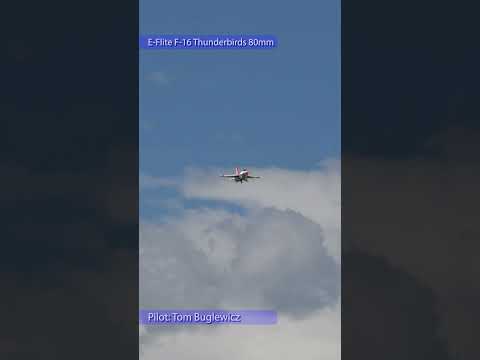 E Flite F-16 Thunderbirds 80mm EDF...