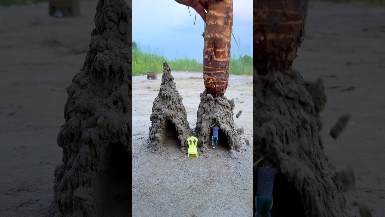 Creative Videography Ideas 💡