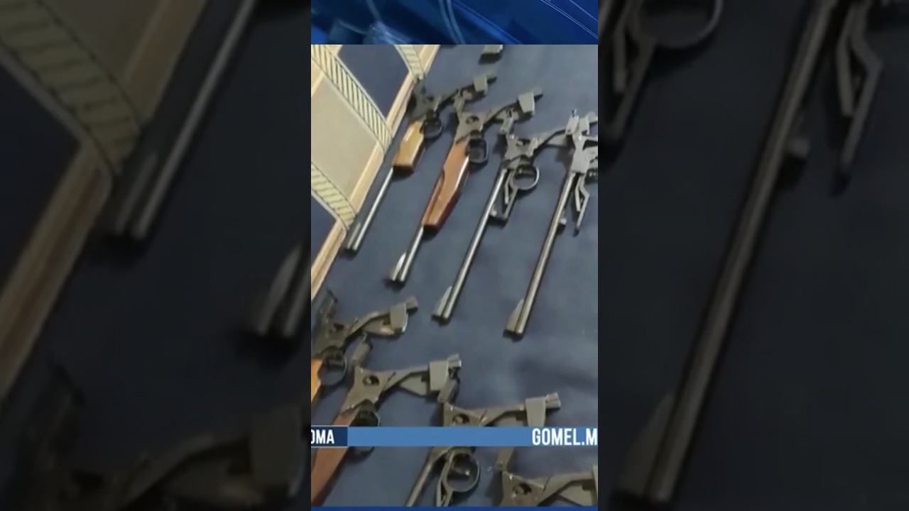 Более 100 единиц оружия изъяли на Гомельщине 🚔