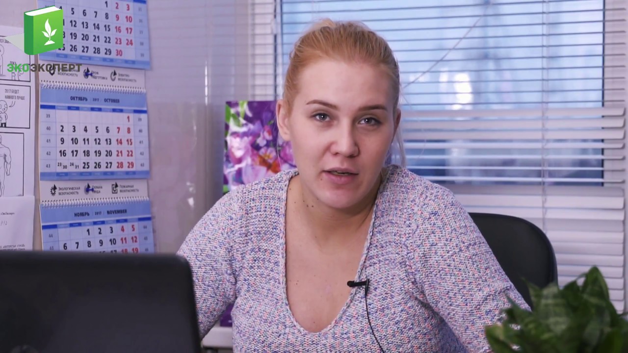 ПМ ООС от «Экоэксперт»: 13 лет защиты природы 🌱