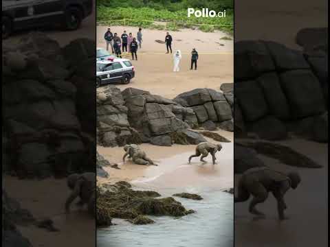 part86:mysterious Alien First Contact | Stunning Sci-Fi Animation