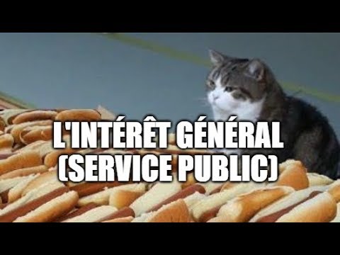 L'intérêt général (critère du service public)