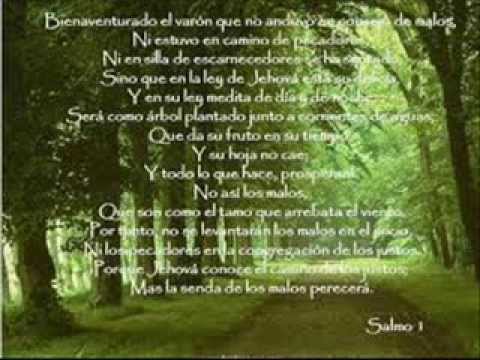 Salmo 1: El justo y los pecadores 📖
