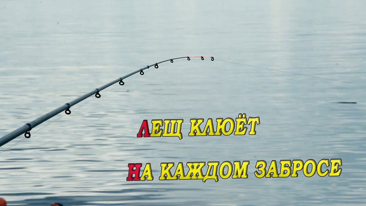 Крутая рыбалка на леща на фидер, июнь 2024 🎣