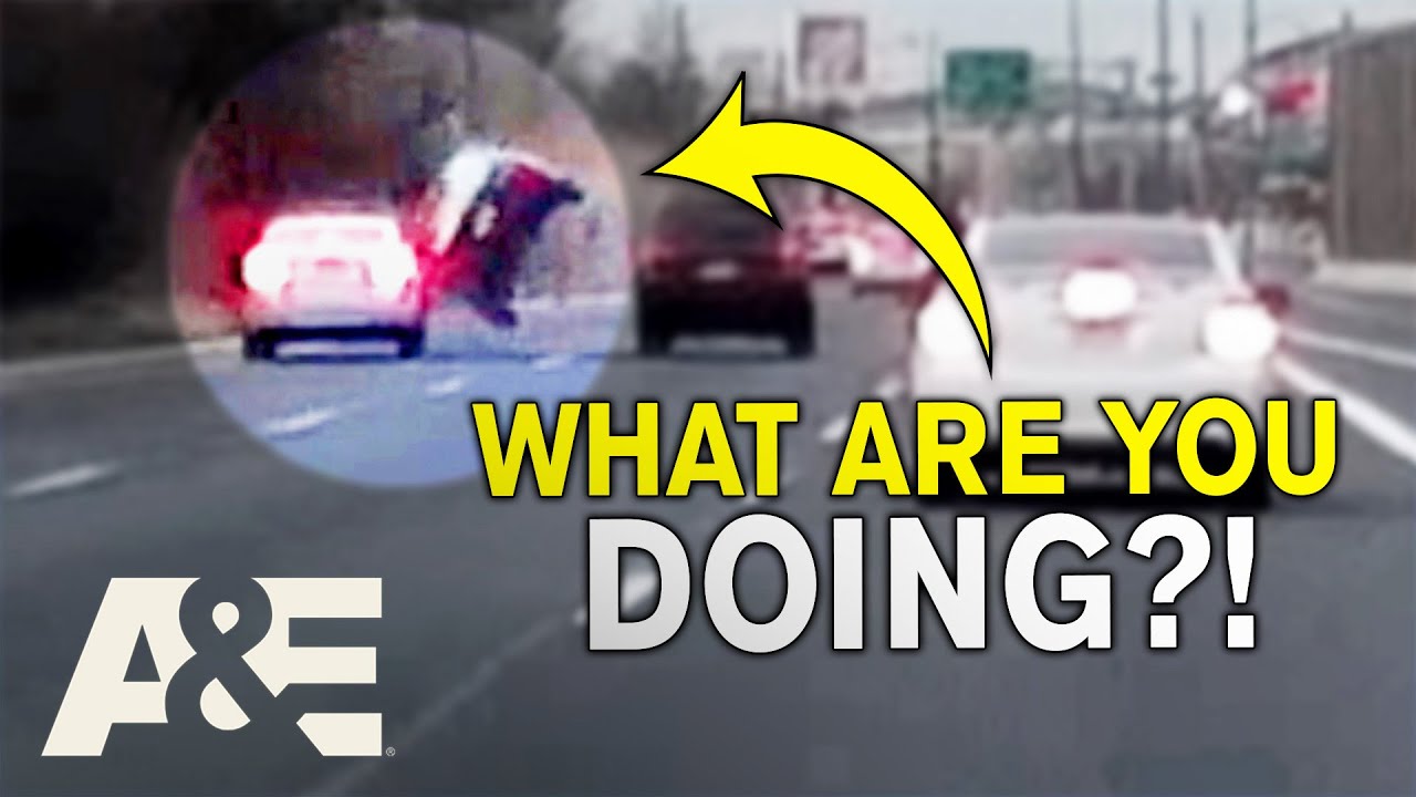 Road Wars: 6 More Traffic Disasters 🚗