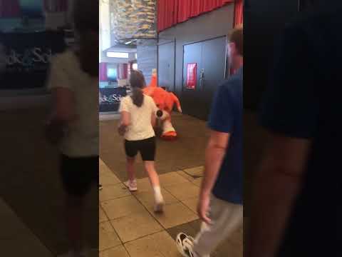 Skyline Gang Rainbow coming out for his photo shoot at Butlin’s Skegness august 2023 🧡