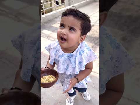 Anaya Or Mumma Ki Tarah Aap Bhi Rakhte Ho Kya Birds Ke Liye Pani 🐧🙏🏻