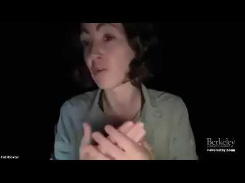 What does it all mean anyway? Decoding ape communication. (Remote from the Ugandan forest)