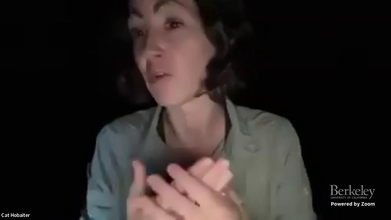 Decoding Ape Communication: Insights from the Ugandan Forest