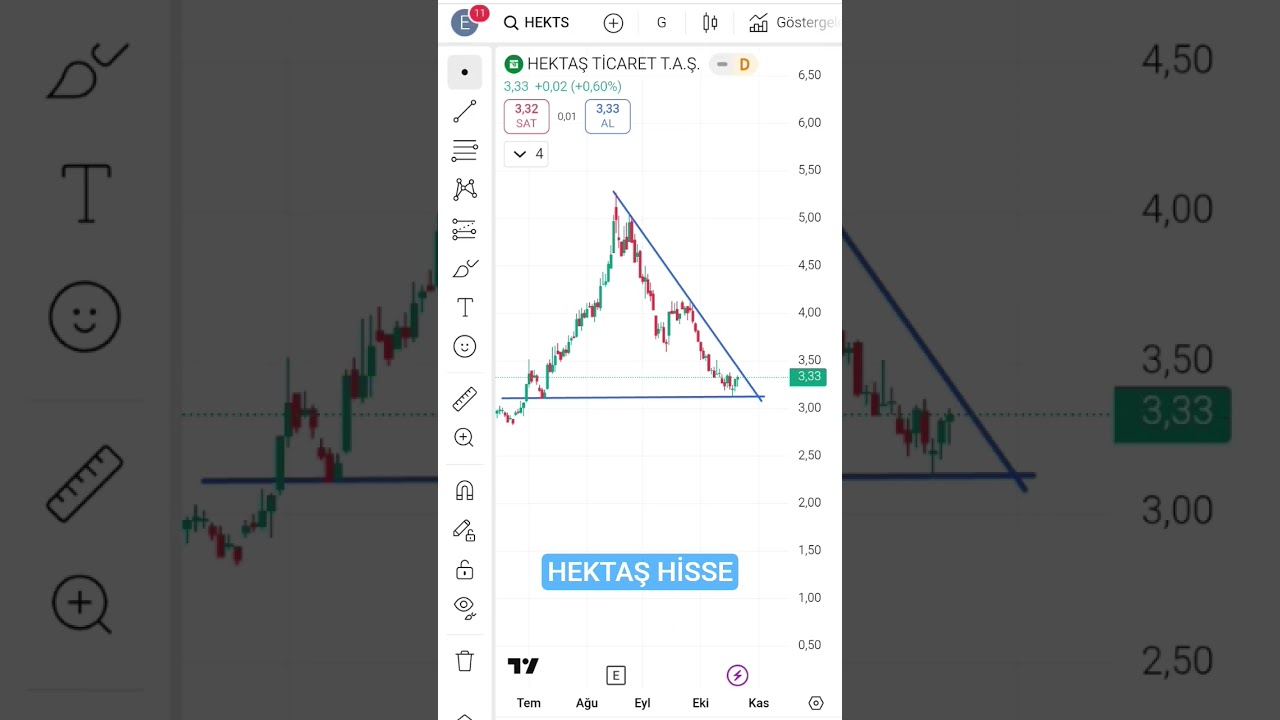 HEKTAS Hissesi Tehlike Bölgesinde! Destek Kırılırsa Neler Olabilir? ⚠️