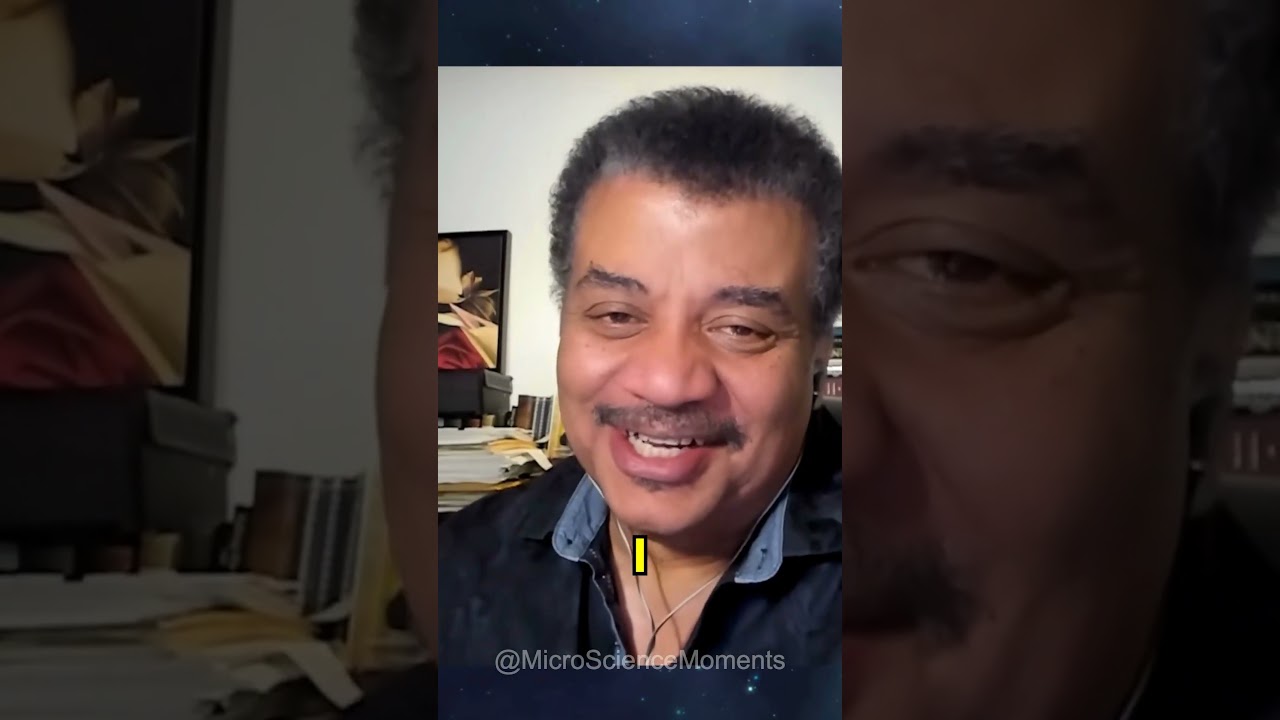 Schrödinger's Cat: Quantum Paradox 🐱