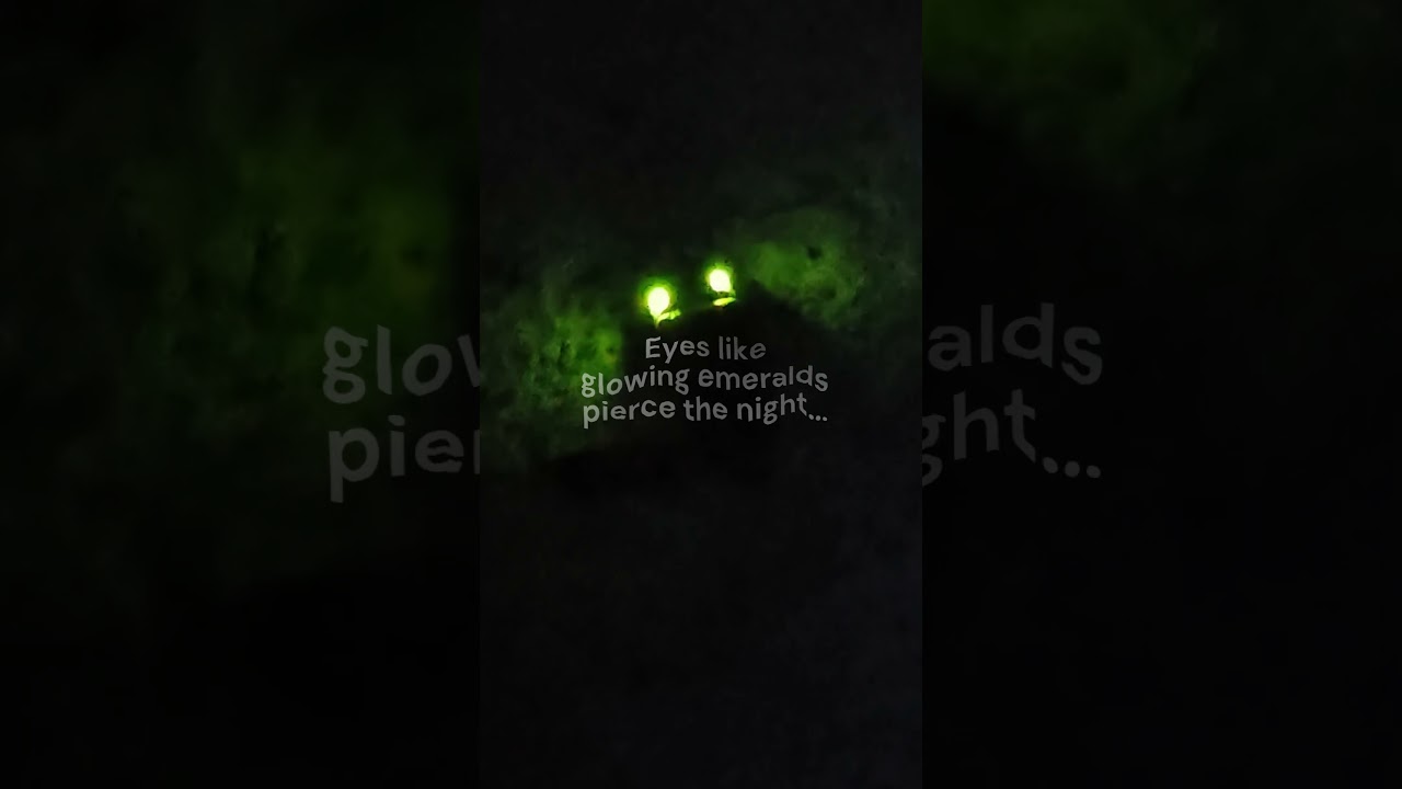 Explore Belize's Amazing Glowing Click Beetle ✨: Nature's Bioluminescent Wonder