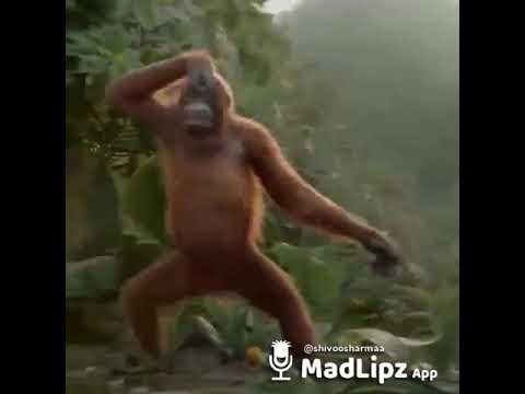 o main nikla gaddi leke....👌