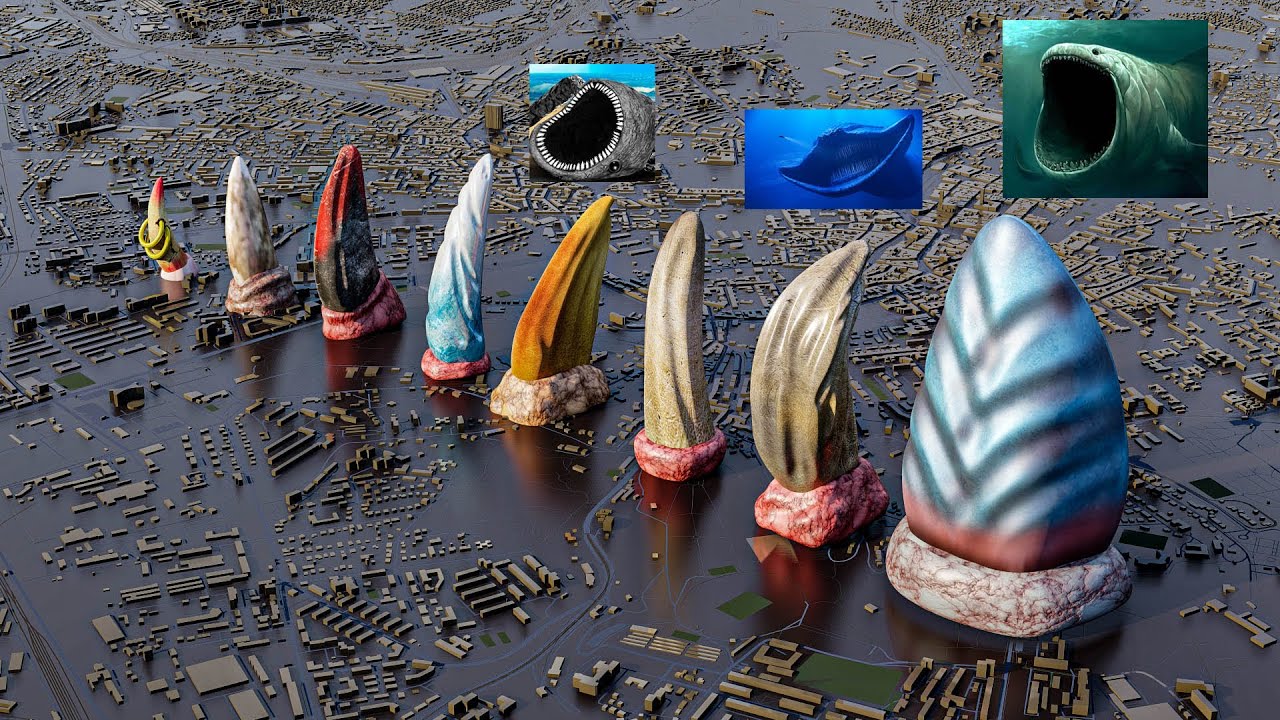 Bloop vs El Gran Maja: Monster Teeth Showdown 🦷