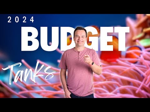 Inexpensive $1800 Saltwater Aquarium... 3 Budget Tank Builds