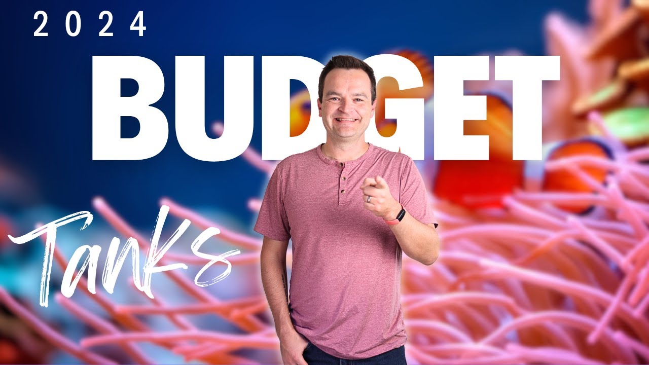 Create Stunning Saltwater Aquariums for Under $1800 🌊 | 3 Budget-Friendly Tank Builds