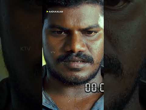 விடுறதா டா தம்பி 😲#aadukalam #dhanush #tapseepannu #ktv #shorts