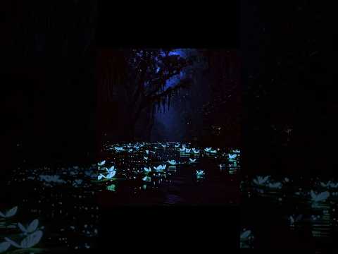 Bioluminescent Rainforest