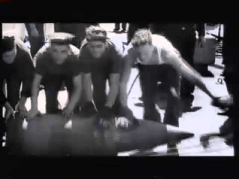 Station X - The codebreakers of Bletchley Park (ep1, pt6)