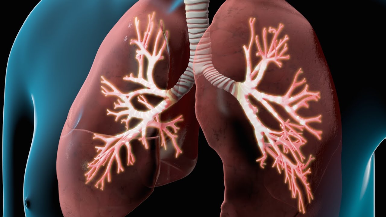 COPD I Nucleus Health