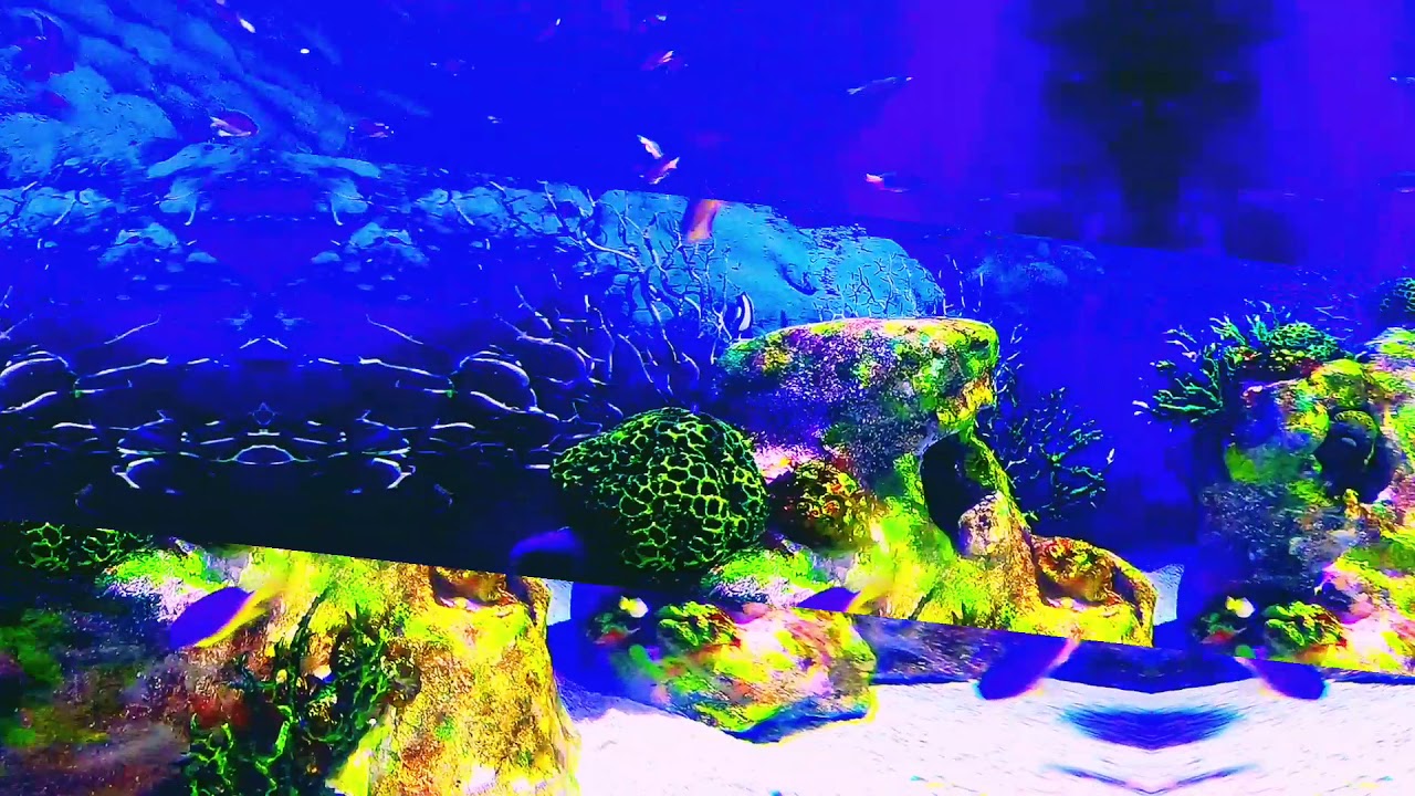 Расслабляющая Музыка для Отдыха 🎶