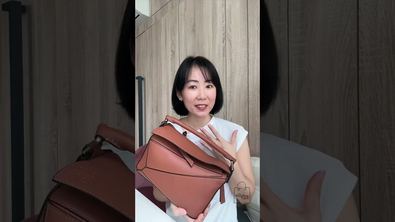 Loewe Puzzle Bag: Classic Style or Trendy Fad?