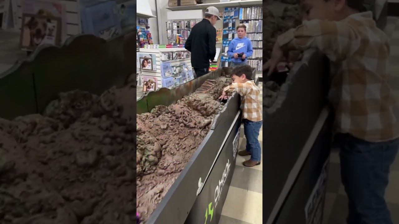 Saturday, the Horizon Hobby Factory Tour stopped off at Schaefer's Hobby Shop in St Louis, MO!