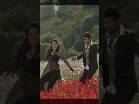 Thalapathy Vijay Kajal Agarwal Dance Step by Step |Kandaangi Kandaangi#making #jiivaofficial #shorts