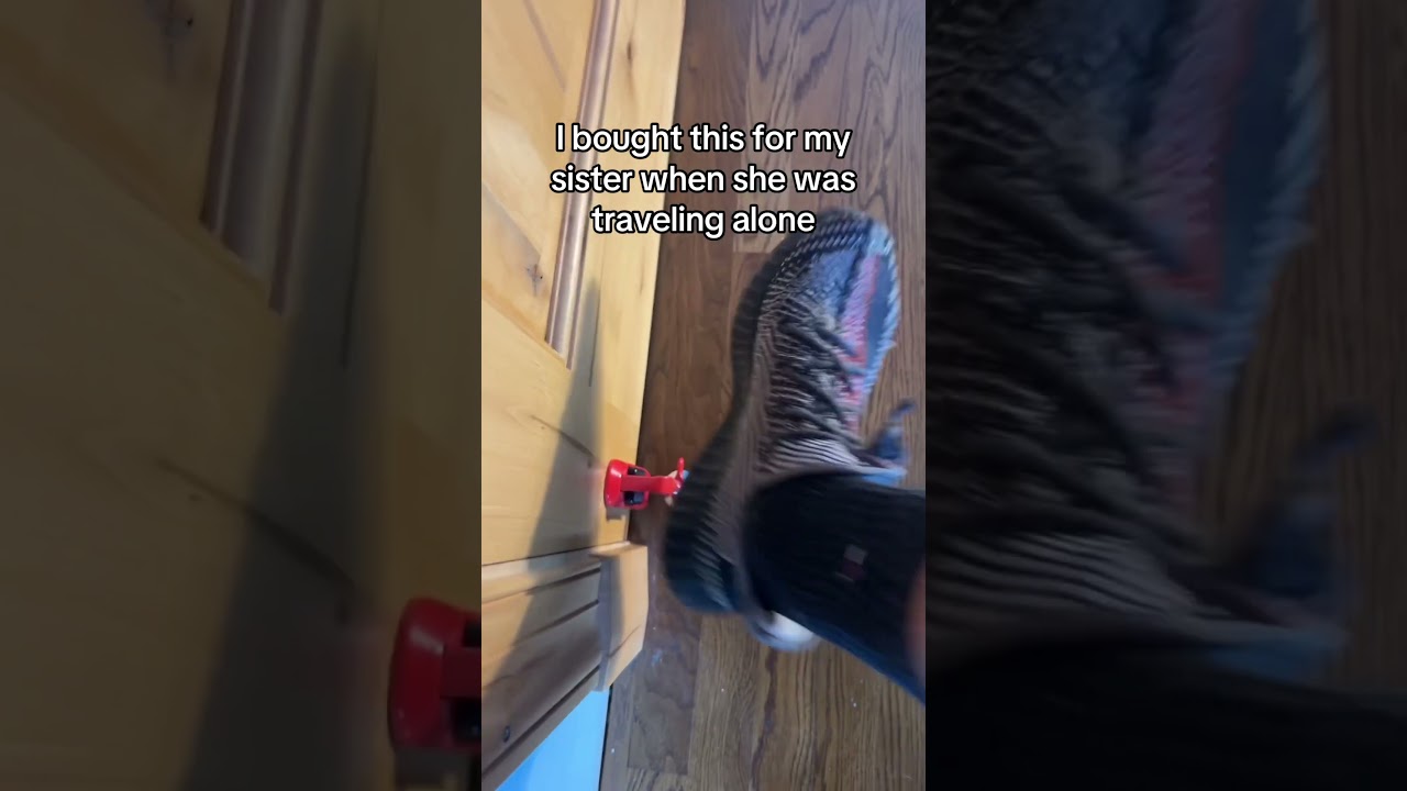 Travel Safely with Door Locks 🔒