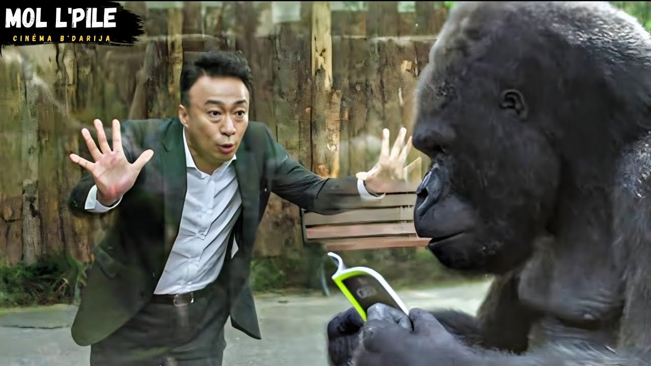 من كاره للحيوانات إلى متحدث معها 🐾