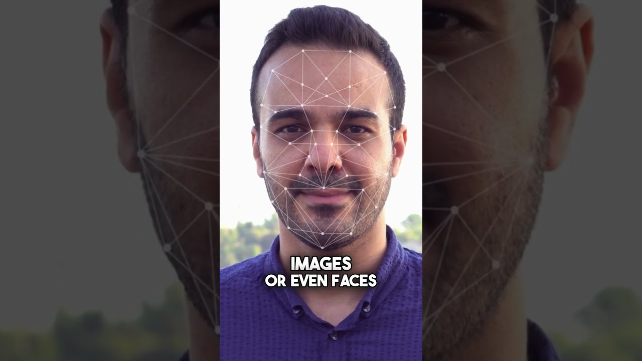 What is Vector Embedding? Explained 📊
