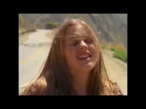 Aerosmith   Cryin' Official Music Video