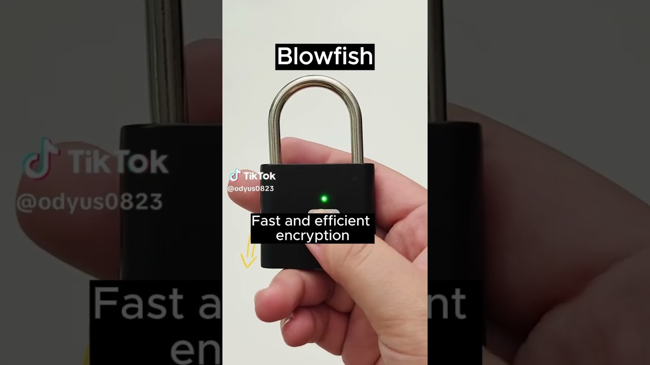 Blowfish: Fast, Strong Lock for All Uses 🔒