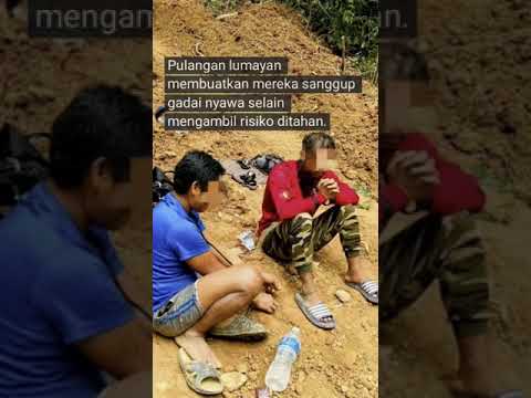 'Mampu raih hingga RM1k sehari'