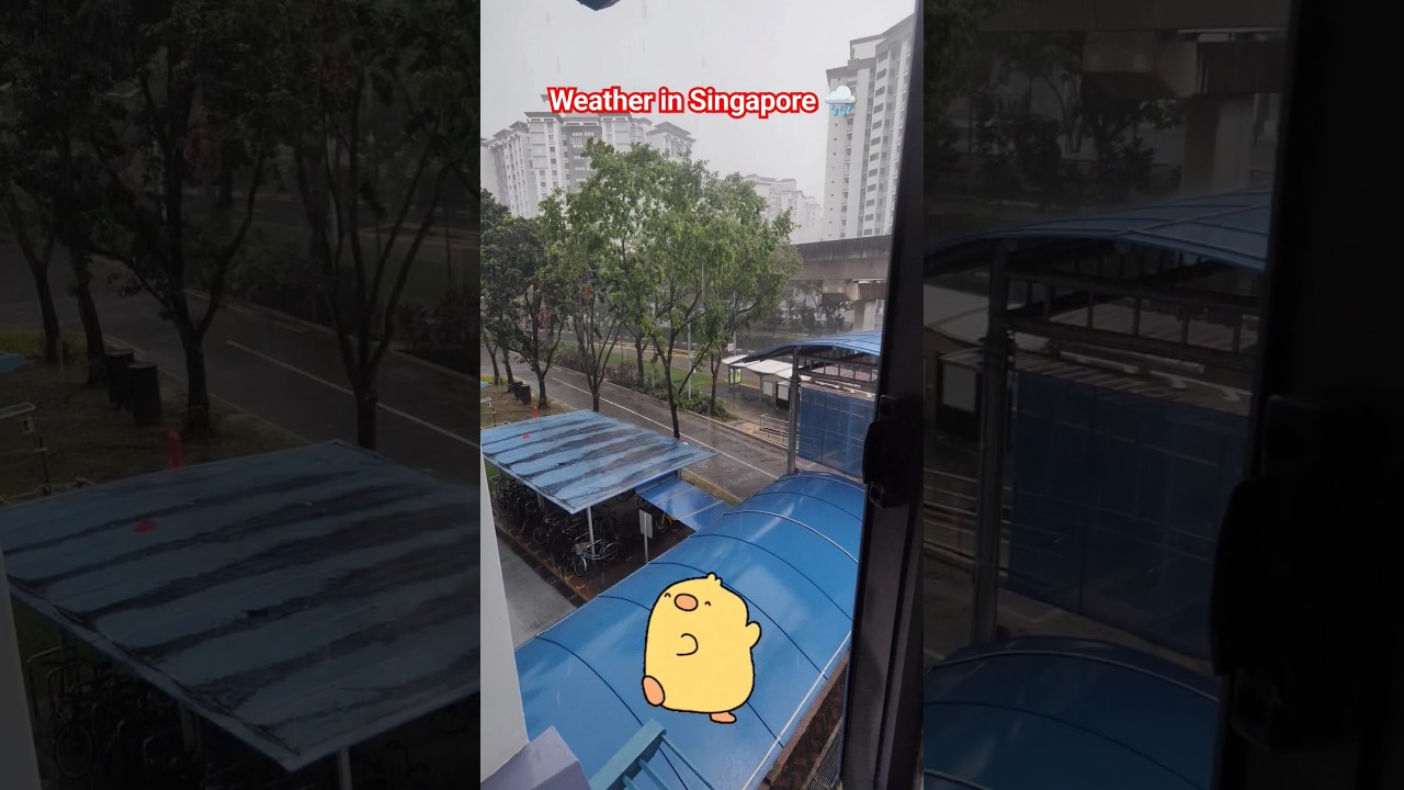 Singapore Weather Update & Melodic Old Hindi Songs 🎶