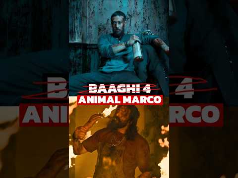 Tiger Shroff BAAGHI 4 bigger than Animal? 🔴 #baaghi4