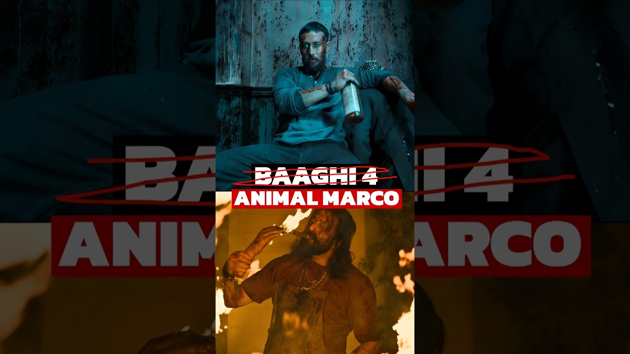 Tiger Shroff's Baaghi 4 vs Animal: Which Is Bigger? 🔴