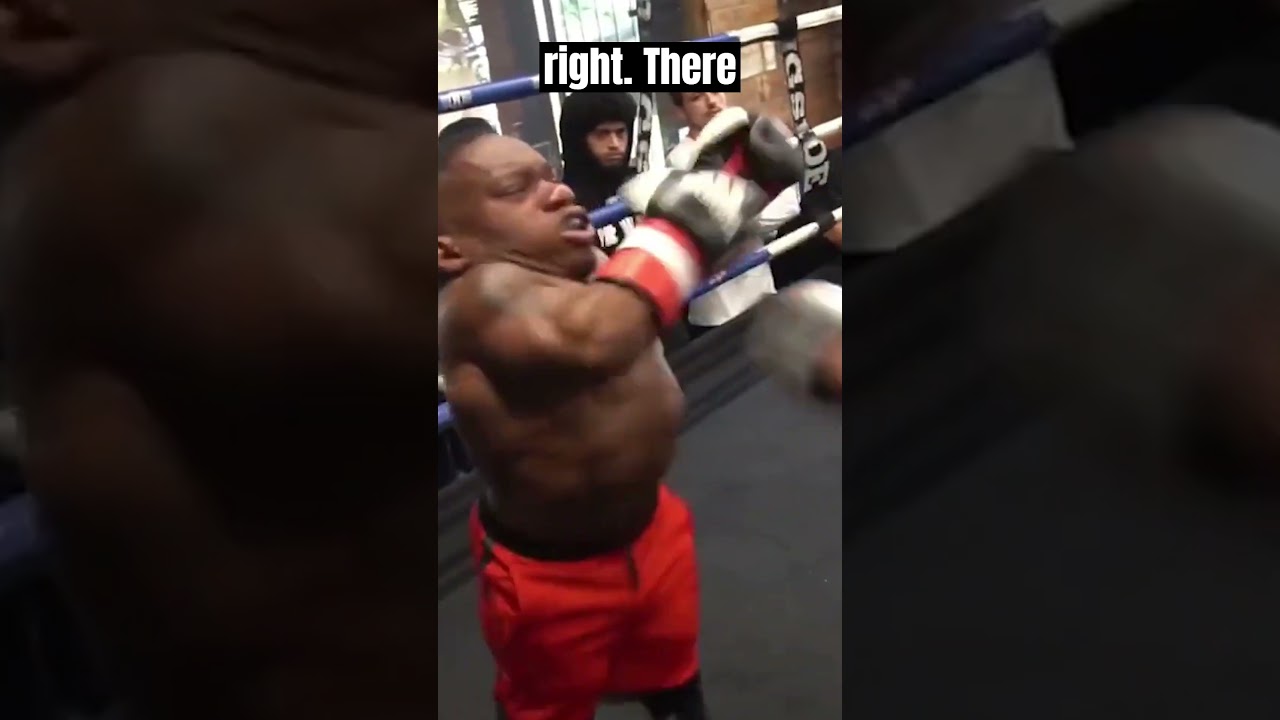 Unbelievable Mini Boxing Showdown! 🥊