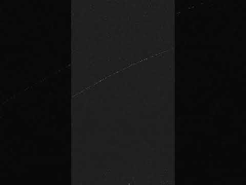 The fake monster #scary